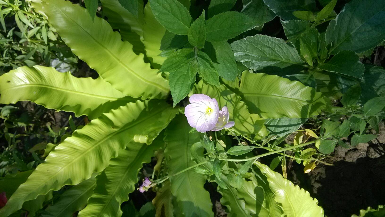 67194成l人在线观看线路无码