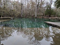 mammoth springs state park ar,Mammoth Springs State Park, AR: A Detailed Multidimensional Introduction