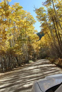 peckerwood lake ar,Peckerwood Lake AR: A Hidden Gem in the Heart of Arkansas