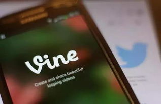 vine ar,Understanding Vine AR