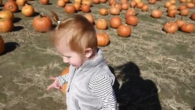 pumpkin patch springdale ar,Location and Accessibility