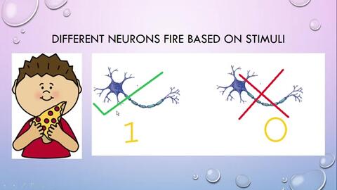 What is an rnp ar used for,What is an RNP AR Used For?