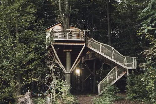 the nest treehouse hot springs_ ar,Location and Accessibility