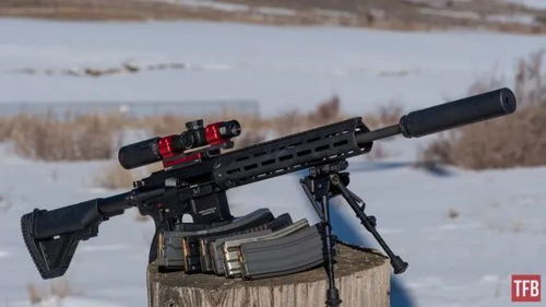 bushnell ar rifle scope 1 6x24mm,Bushnell AR Rifle Scope 1-6x24mm: A Comprehensive Overview