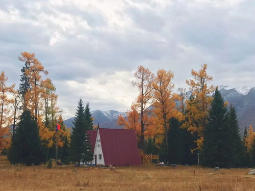 storm honey farm mountain view_ ar,History and Legacy