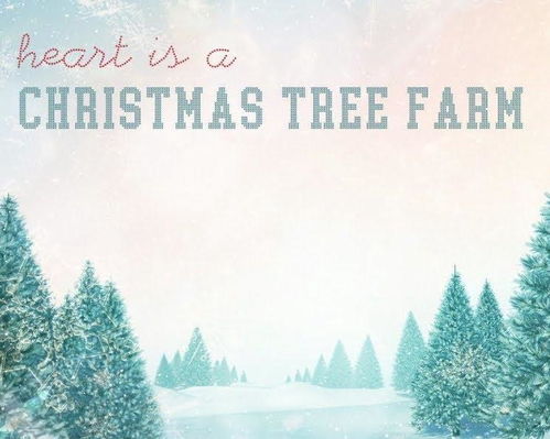 christmas tree farm fort smith ar,About the Christmas Tree Farm Fort Smith AR